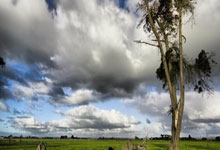 穆西亚拉：上半场一切顺利，但我们本应该在下半场也保持能量.